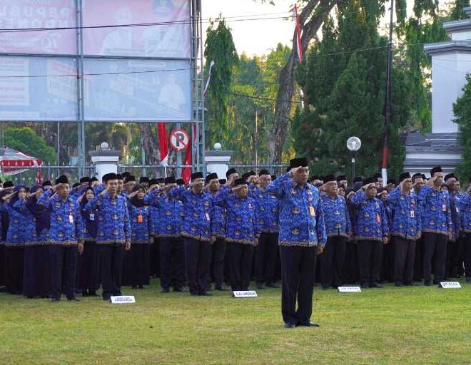 Informasi CPNS 2024: Link Pendaftaran, Formasi dan Syaratnya