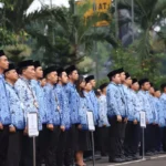 Pengangkatan PPPK Paruh Waktu & Pegawai Pemerintah Kontrak